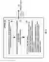 Fig. 08 - Identifying and measuring bodily states and feedback systems background