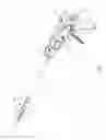 Fig. 02 - Method of applying staples to liver and other organs