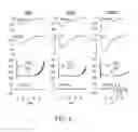 Fig. 06 - Electroporation systems and catheters for electroporation systems
