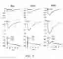 Fig. 08 - Electroporation systems and catheters for electroporation systems