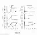 Fig. 09 - Electroporation systems and catheters for electroporation systems