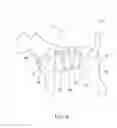 Fig. 06 - Animal back brace