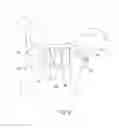 Fig. 07 - Animal back brace