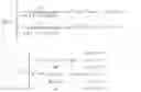 Fig. 08 - Ophthalmic lens having an extended depth of focus