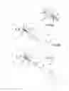 Fig. 07 - Cervical distraction/implant delivery device