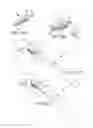 Fig. 08 - Cervical distraction/implant delivery device