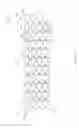 Fig. 02 - Stent