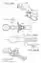 Fig. 43 - ORAL DEVICE AND METHOD FOR THE USE THEREOF