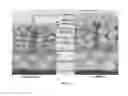 Fig. 02 - Cosmetic compositions and uses thereof