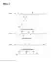 Fig. 02 - Natural Hydrocarbon/Ester Compositions with Improved Sensory Properties, Formulations and Related Methods