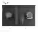 Fig. 09 - Natural Hydrocarbon/Ester Compositions with Improved Sensory Properties, Formulations and Related Methods