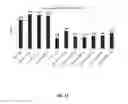Fig. 22 - CULTIVATION OF PLACENTA TO ISOLATE EXOSOMES