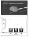 Fig. 01 - NOVEL STEM CELL CARRIER AND METHOD FOR PREPARING THE SAME