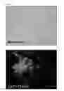 Fig. 03 - NOVEL STEM CELL CARRIER AND METHOD FOR PREPARING THE SAME