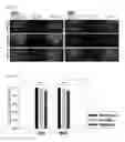 Fig. 04 - NOVEL STEM CELL CARRIER AND METHOD FOR PREPARING THE SAME