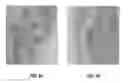 Fig. 07 - Liposomal statin formulation