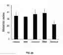 Fig. 10 - Liposomal statin formulation