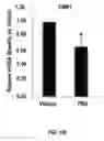 Fig. 19 - Liposomal statin formulation