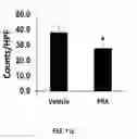 Fig. 22 - Liposomal statin formulation