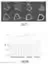 Fig. 12 - Delivery devices and methods for making the same