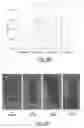 Fig. 13 - Delivery devices and methods for making the same