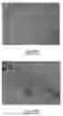 Fig. 18 - Delivery devices and methods for making the same