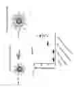 Fig. 09 - MULTI-FUNCTIONAL NANOPARTICLES FOR VACCINATION