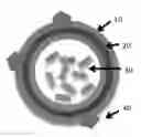 Fig. 01 - Deoxyribonucleic acid nanoparticles for delivering proteins and protein-containing compounds and methods of manufacturing deoxyribonucleic acid nanoparticles