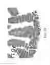 Fig. 07 - Materials and methods for improving gastrointestinal function