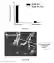 Fig. 12 - Materials and methods for improving gastrointestinal function