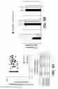 Fig. 22 - Methods for treating testosterone deficiency in men and methods for precise dosing of UGT2B17 substrate drugs