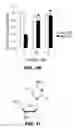 Fig. 06 - Methods of treating neurodegenerative disorders comprising DNA methyltransferase inhibitors