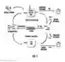 Fig. 02 - APTAMERS REDUCE SICKLE HEMOGLOBIN POLYMERIZATION