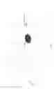 Fig. 02 - Compositions comprising circular polyribonucleotides and uses thereof