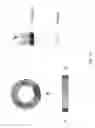 Fig. 46 - Compositions comprising circular polyribonucleotides and uses thereof