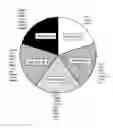 Fig. 01 - MicroRNA in T cell activation
