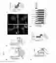 Fig. 07 - Compositions and methods for treating cancer