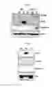 Fig. 02 - METHOD FOR INDUCING TRANSDIFFERENTIATION OF IMMUNE CELLS BASED ON EXOSOMES