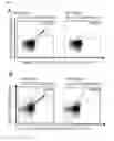 Fig. 22 - Peptides and scaffolds for use in immunotherapy against head and neck squamous cell carcinoma and other cancers