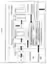 Fig. 02 - Method of effecting neuroprotection using soluble neuregulin isoforms