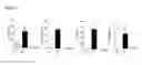 Fig. 02 - METHODS OF USING INTERLEUKIN-10 FOR TREATING DISEASES AND DISORDERS