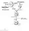 Fig. 02 - Multivalent recombinant SPV