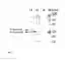 Fig. 08 - Multivalent recombinant SPV