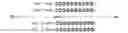 Fig. 02 - Nucleic acid products and methods of administration thereof
