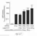 Fig. 40 - Junctophilin-2 fragments and uses therefor