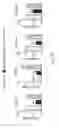 Fig. 43 - Junctophilin-2 fragments and uses therefor