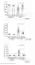 Fig. 44 - Junctophilin-2 fragments and uses therefor