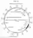 Fig. 02 - COMPOSITIONS AND METHODS FOR TREATING MACULAR DYSTROPHY