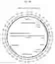 Fig. 03 - COMPOSITIONS AND METHODS FOR TREATING MACULAR DYSTROPHY