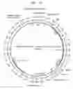 Fig. 04 - COMPOSITIONS AND METHODS FOR TREATING MACULAR DYSTROPHY